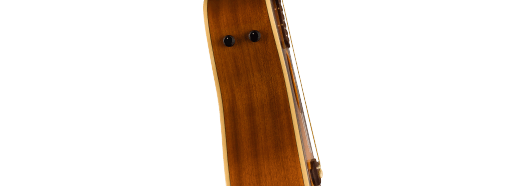 Fender Malibu Player Walnut Fingerboard Gold Pickguard Sunburst