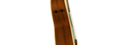 Fender Newporter Walnut Fingerboard White Pickguard Surf Green