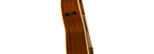 Fender Newporter Player Walnut Fingerboard Gold Pickguard Sunburst
