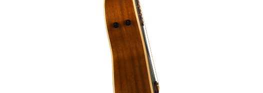 Fender Newporter Player Walnut Fingerboard Black Pickguard Tidepool