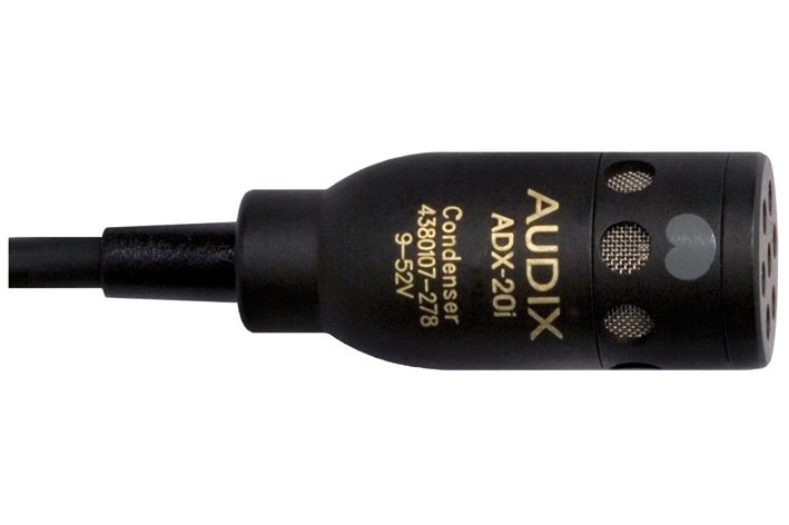 Audix Adx20i