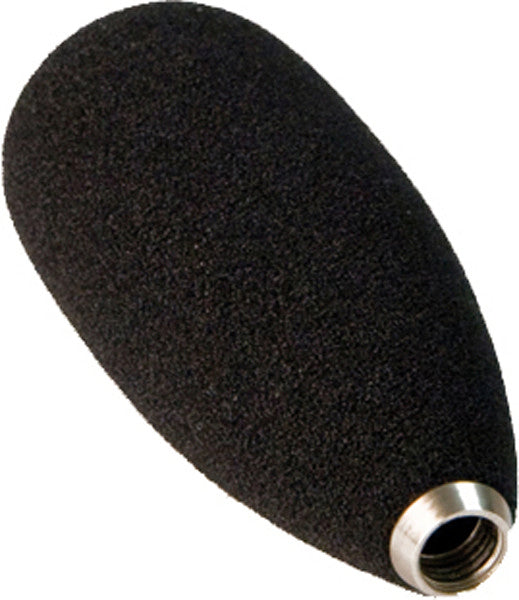 Audix Wstm1