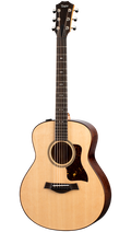 Taylor Gte Urban Ash