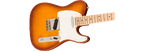 Fender Telecaster American Performer Timber Ltd MN Honey Burst