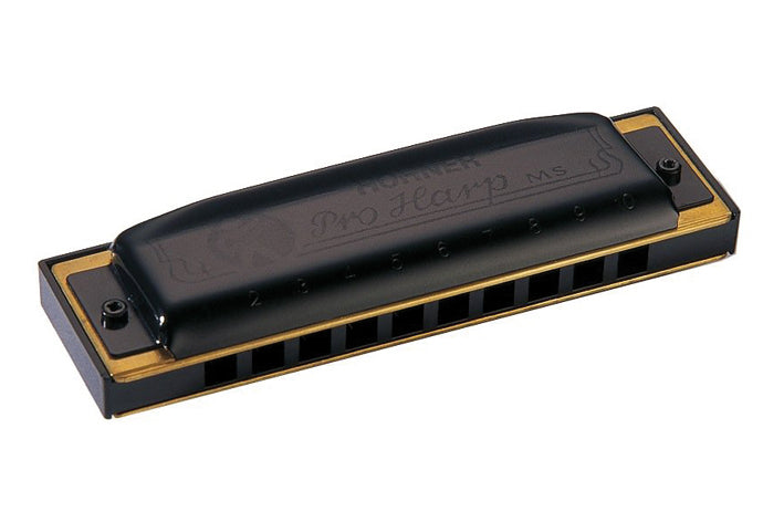 Hohner Pro harp bb