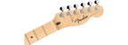 Fender Standard Telecaster Aqua Marine Metallic