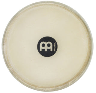 Meinl Head-38