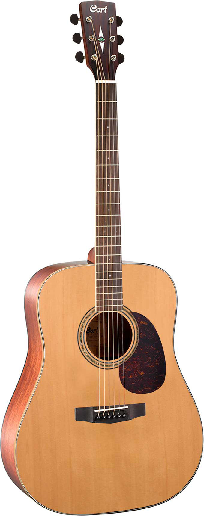 Cort Earth100 ns