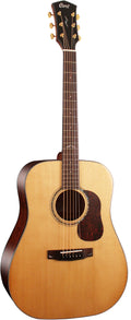 Cort Gold-d6 nat w/case