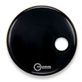 Aquarian Rsm22bk
