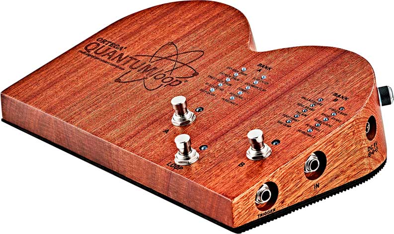 Ortega Quantumloop