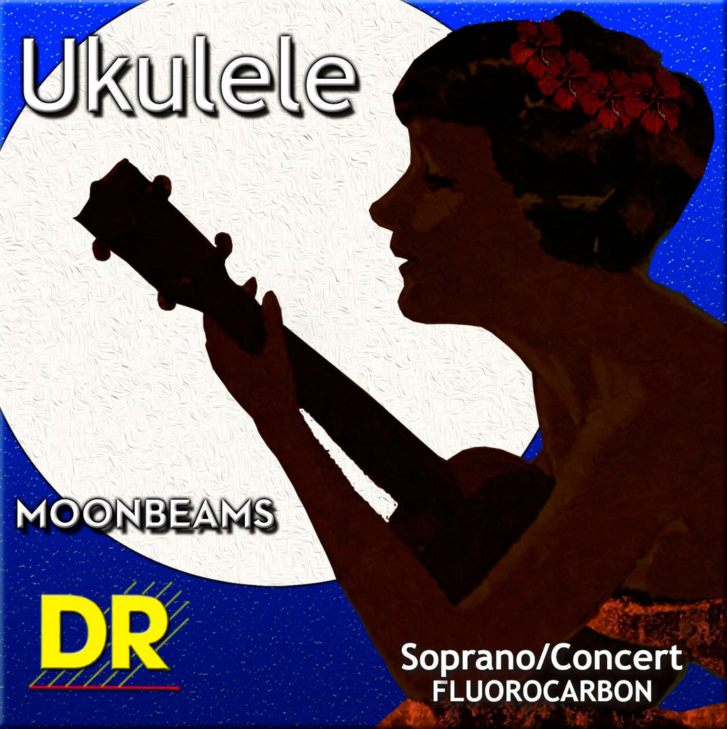 Dr Ufsc ukelele soprano/concert