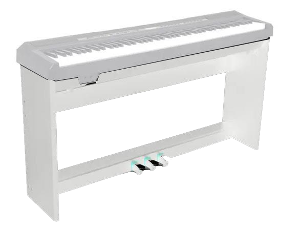 Echord Ws10 Supporto per SP10 e DP1 Bianco