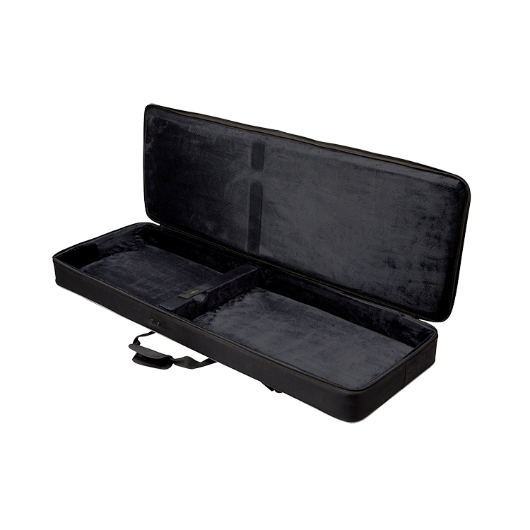 Epiphone EpiLite Case Explorer