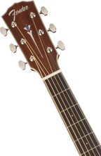 Fender Paramount Pm1 Standard Dreadnought All Mahogany Ne