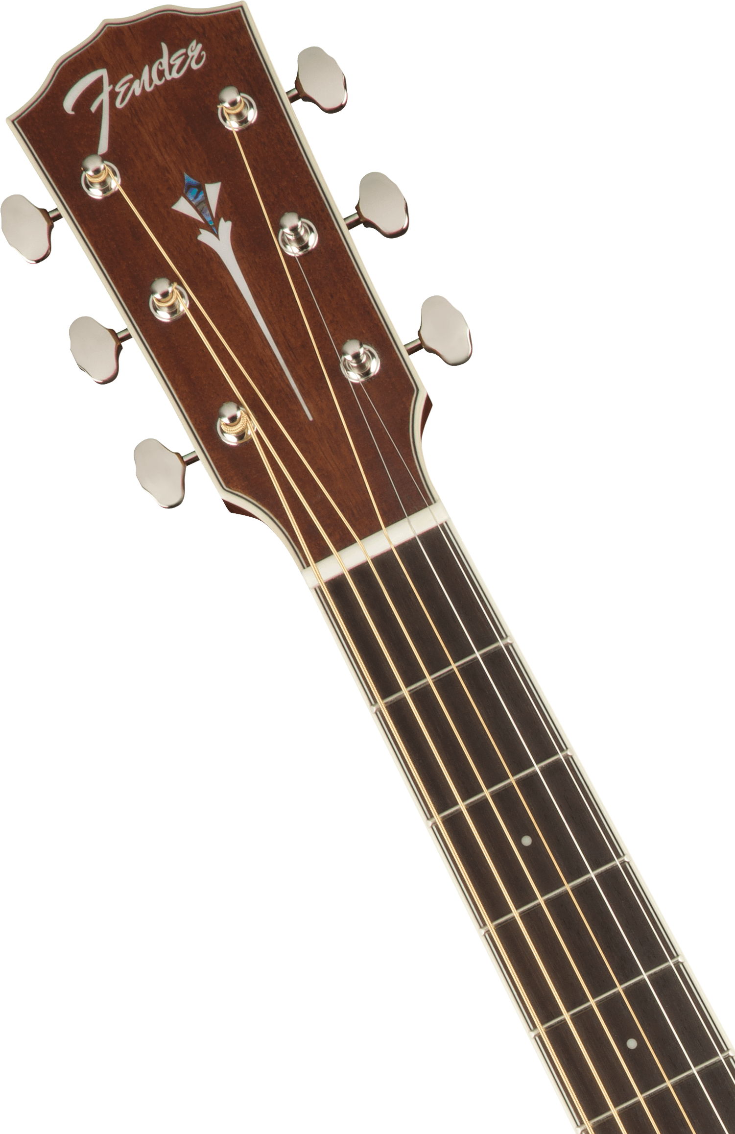 Fender Paramount Pm1 Standard Dreadnought All Mahogany Ne