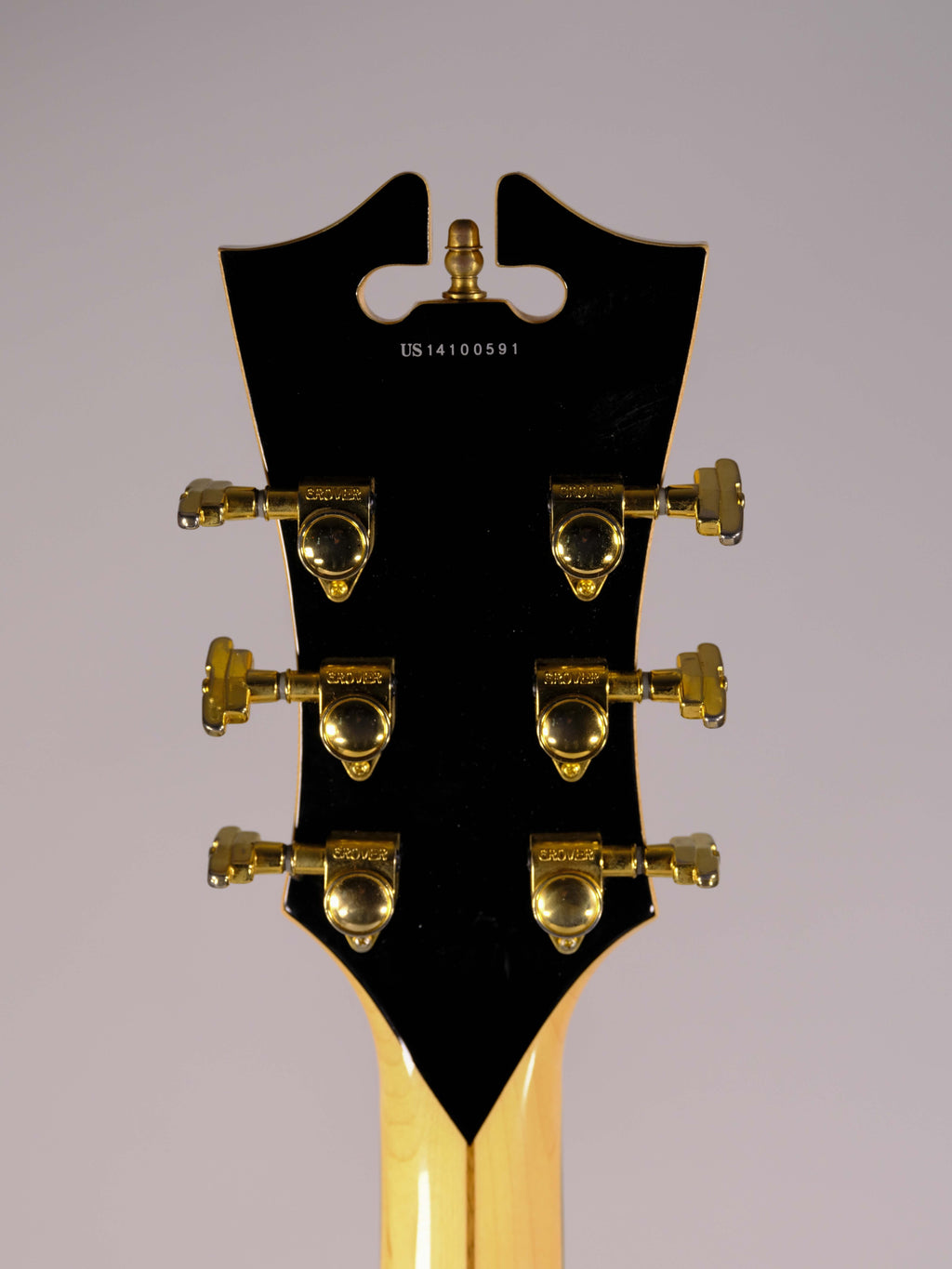 D'ANGELICO EX-DH HOLLOW EXCEL USATA