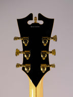 D'ANGELICO EX-DH HOLLOW EXCEL USATA