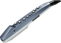 Roland Ae01 Aerophone Mini