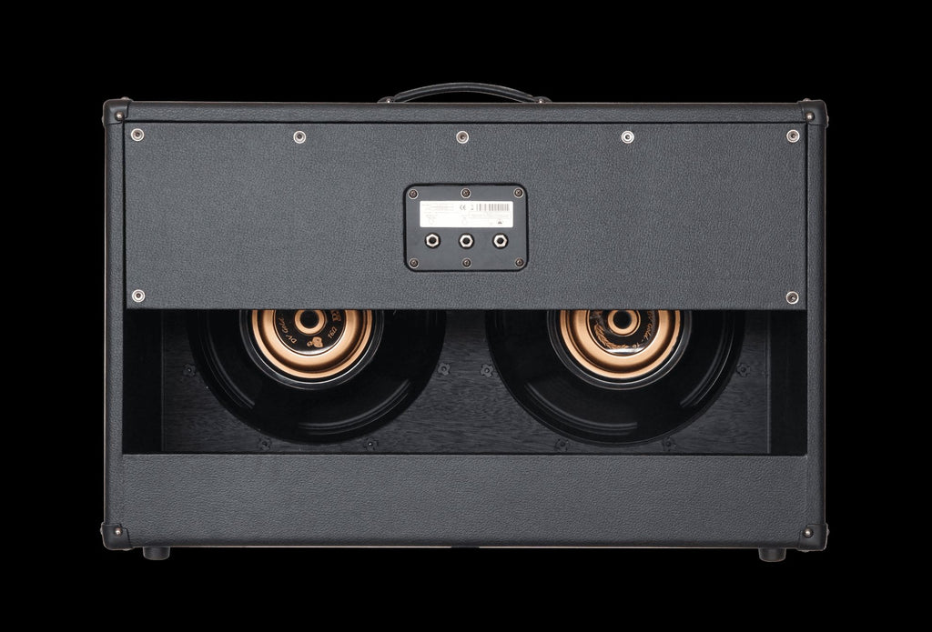 Dv Mark Dv Gold 212 Cassa 2X12' 300W