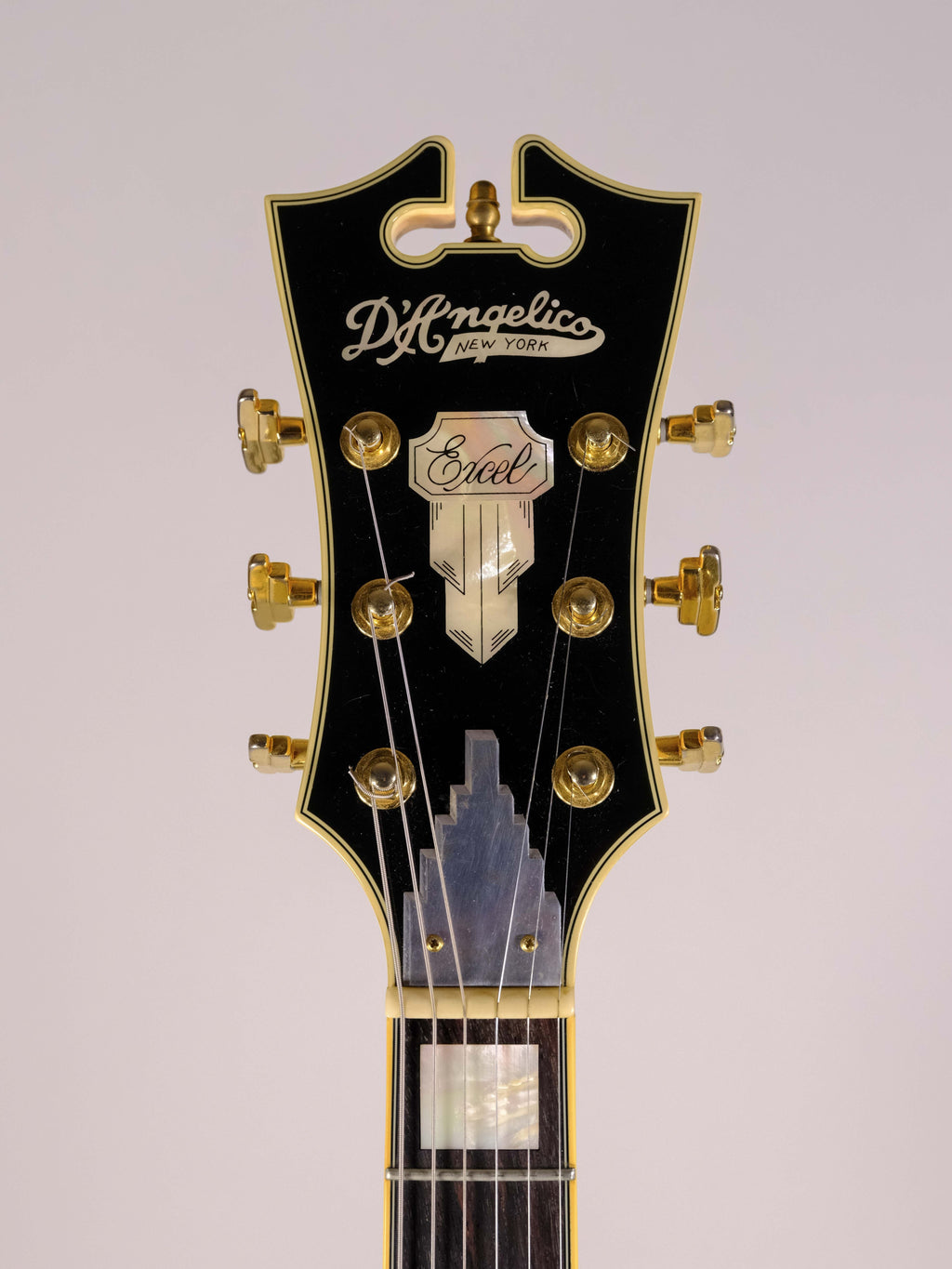 D'ANGELICO EX-DH HOLLOW EXCEL USATA