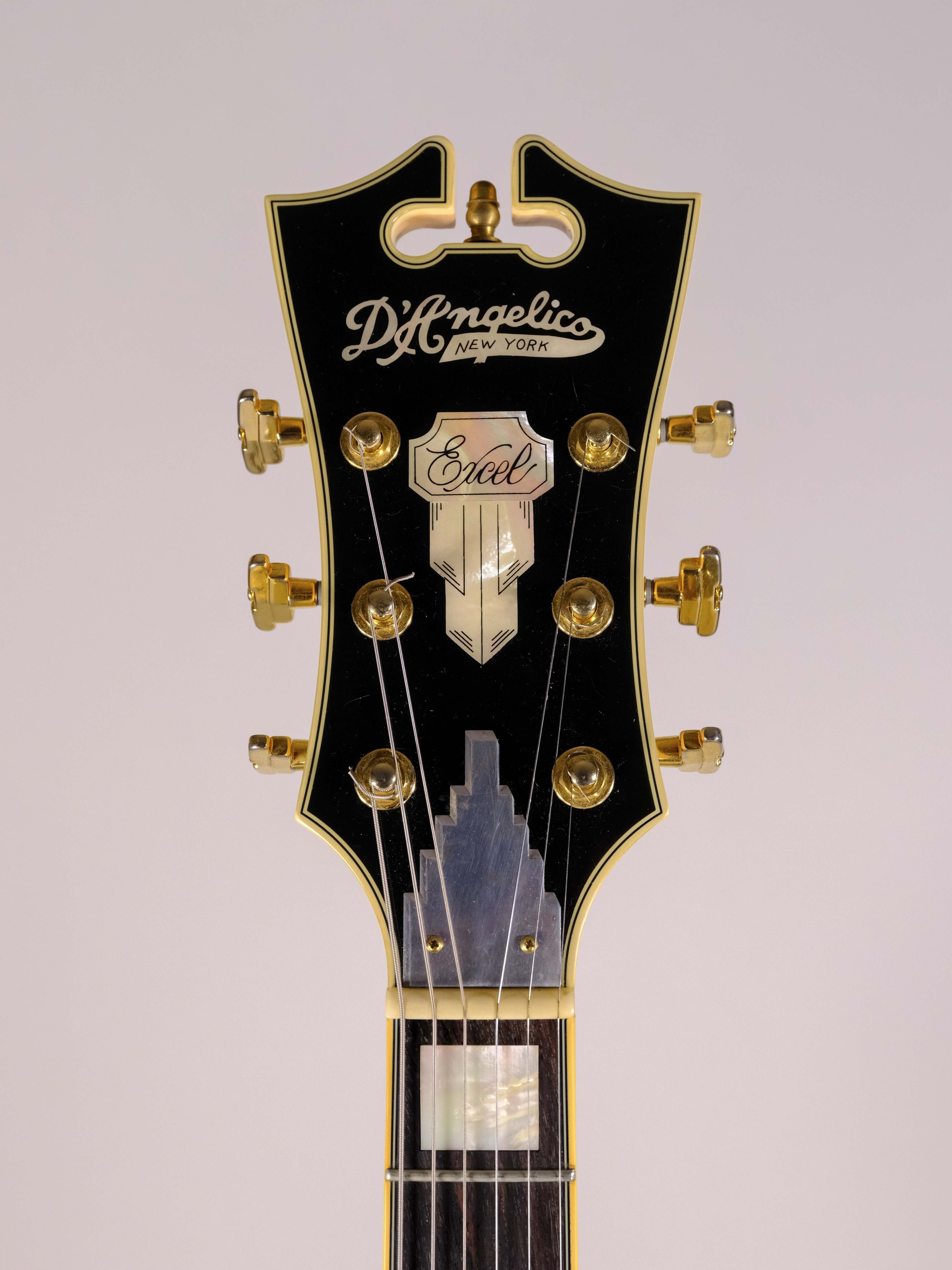 D'ANGELICO EX-DH HOLLOW EXCEL USATA