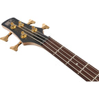 Ibanez SR300EDX Frozen Gold Matte