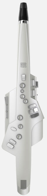 Roland Ae10G Aerophone
