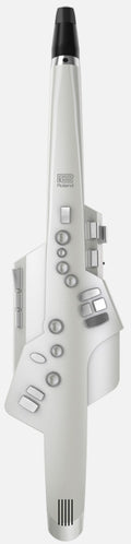 Roland Ae10G Aerophone