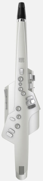 Roland Ae10G Aerophone