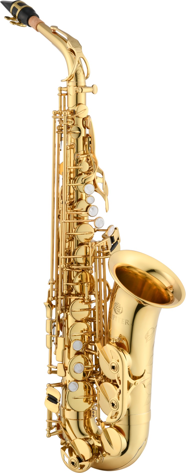 Jupiter italia Jas1150q