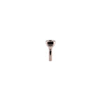 Denis Wick Bocchino Cornetta CLASSIC Silver Plated 2