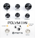 Meris Polymoon Tap Delay