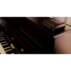 Pleyel Magistral Sistema Audio per Piano Verticale