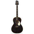 PRS SE P20E Parlor Black Dog Hair Fishman Pickup
