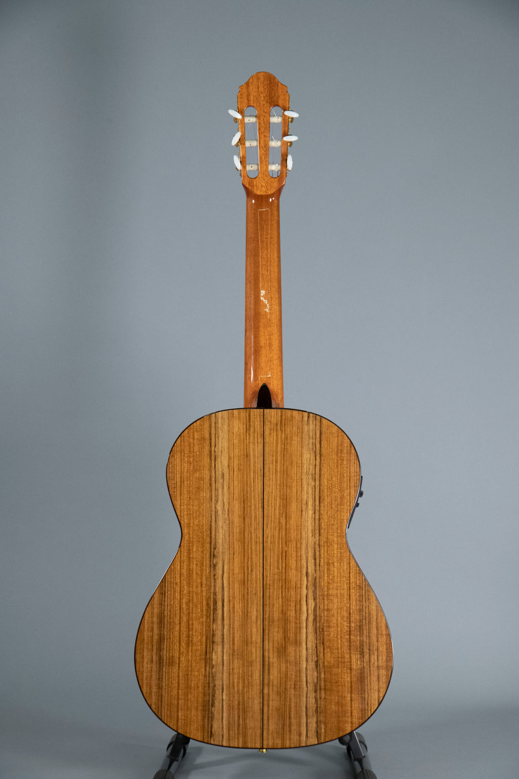Raimundo 120E Cedar Chitarra Classica Elettrificata Fishman