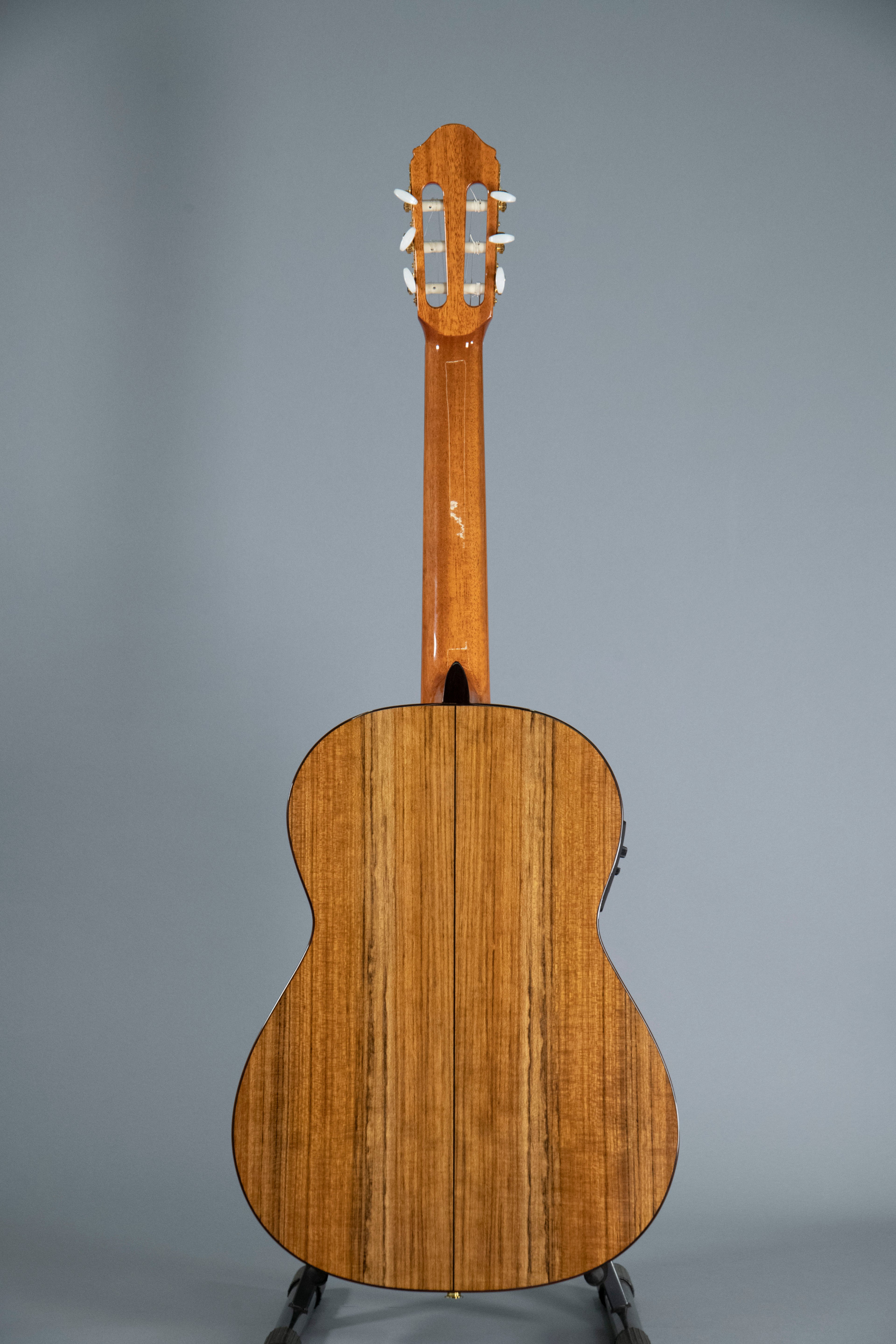 Raimundo 120E Cedar Chitarra Classica Elettrificata Fishman