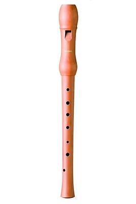 Hohner B9501 German