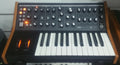 Moog Subsequent 25