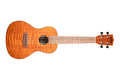 Kala KA-CEM - ''Exotic Mahogany'' - ukulele concerto - c/borsa
