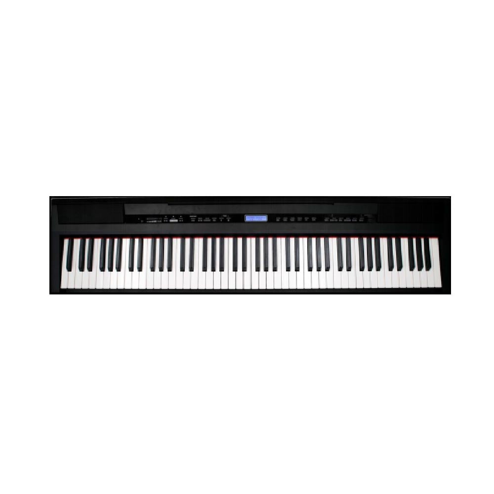 Echord Sp10B 88 Weighted Key Digital Piano