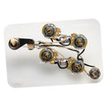 DiMarzio GW2104  - Wiring harness per SG