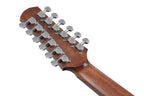 Ibanez AAD1012E Acustica Open Pore Natural 12 Corde Elettrificata
