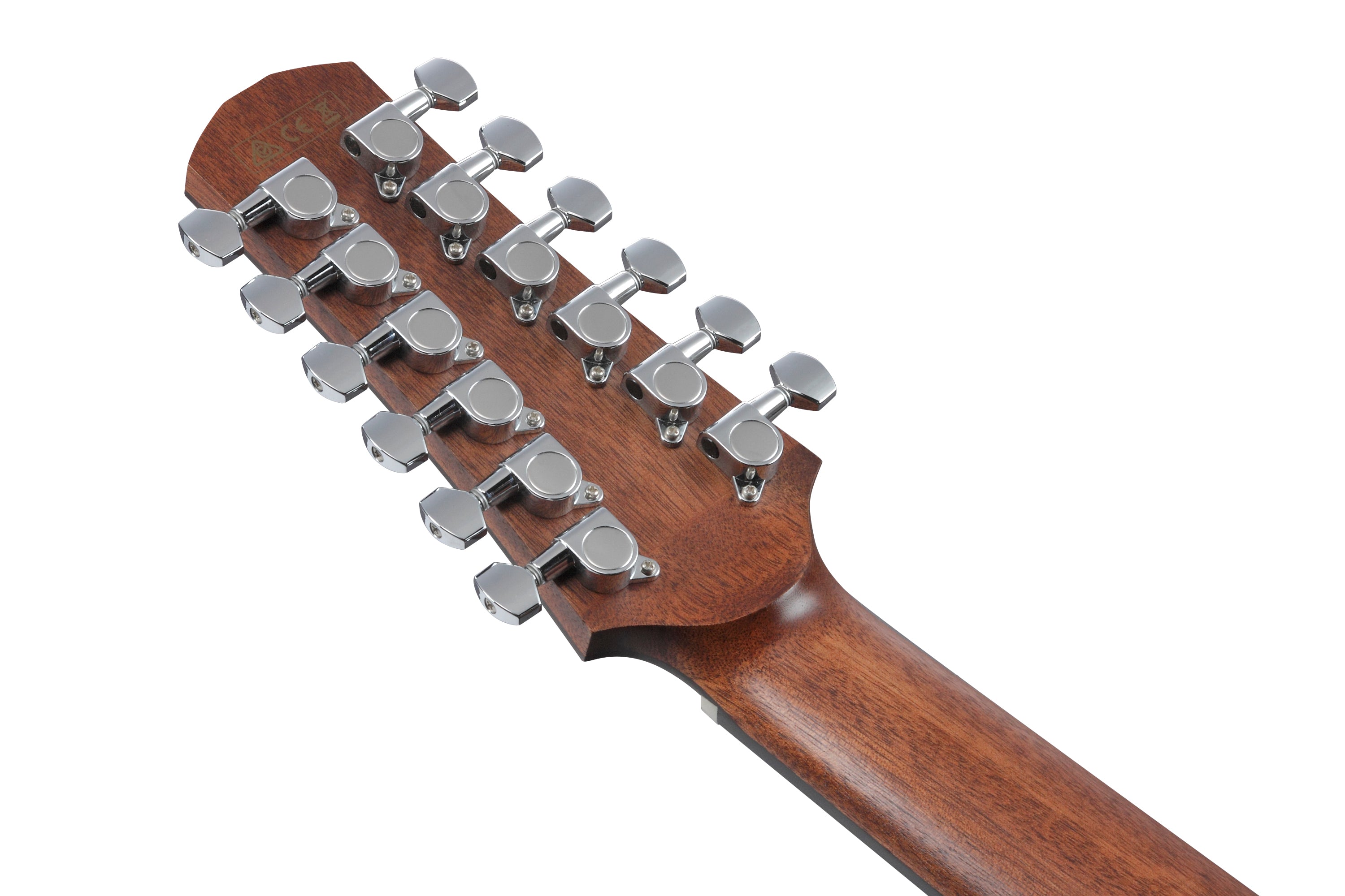 Ibanez AAD1012E Acustica Open Pore Natural 12 Corde Elettrificata