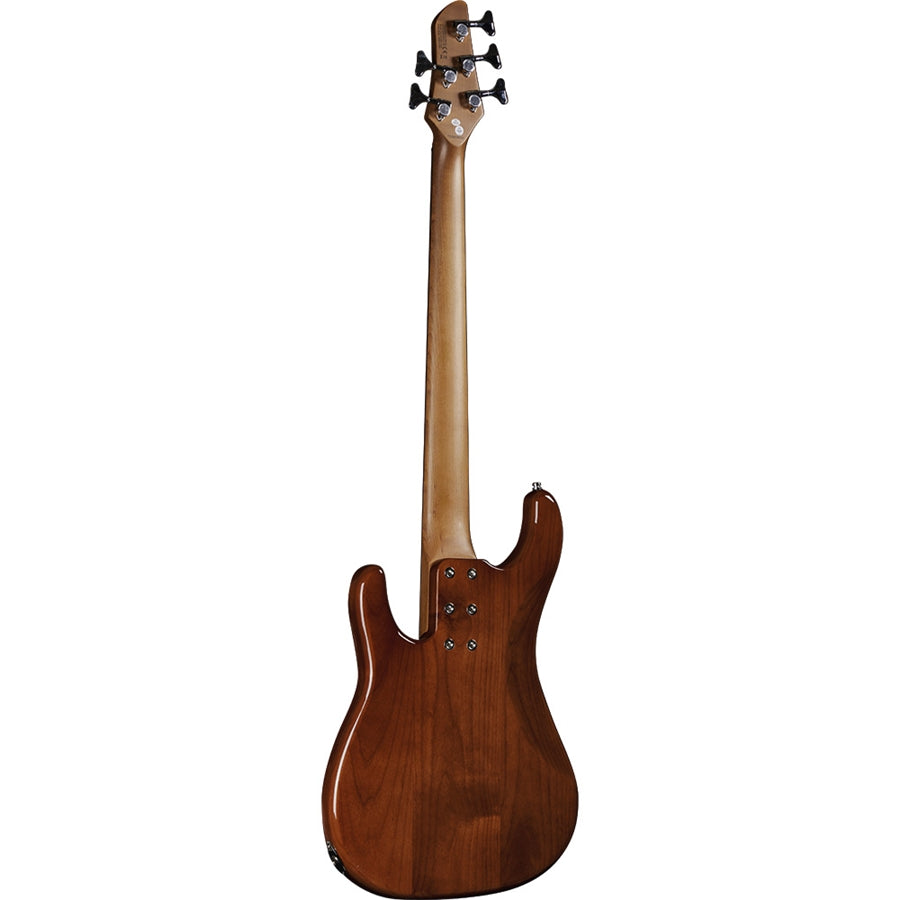 Eko Guitars Aire 800-5 Musa Bass Honey Burst