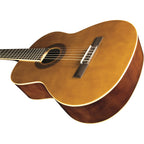 Eko Guitars CS-10 Natural + BAG IN OMAGGIO