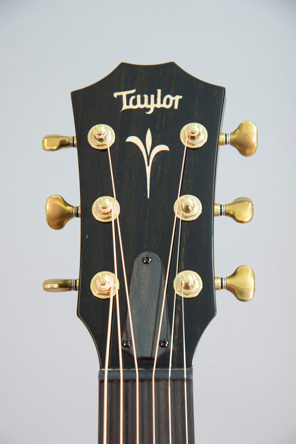Taylor GTK21E Chitarra Acustica Elettrificata