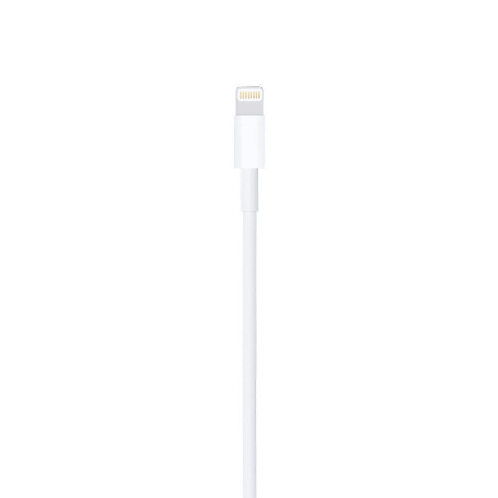 Apple Lighting To Usb Cavo 2 Mt