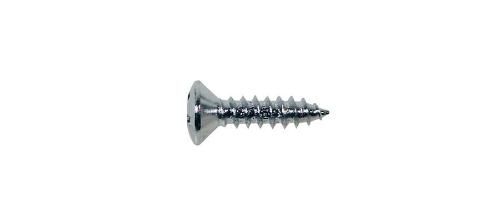 Boston Ts01C Self-Tapping Chrome Screws Set 12pcs For Pickguard