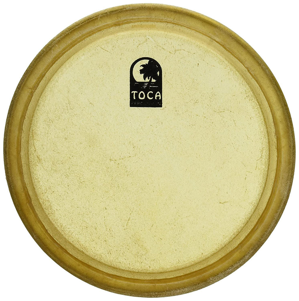 11" Toca Conga Head